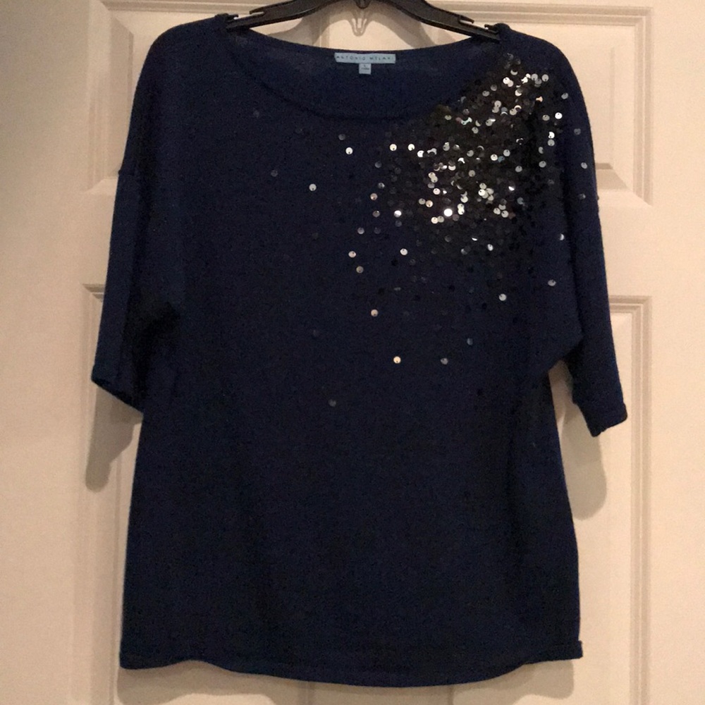 Blue short sleeve sweater with sequins
